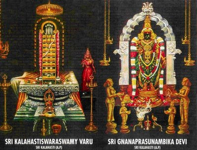 Rahu Ketu Dosha Parihara Pooja / Sarpa dosha Parihara Pooja at Sri Kalahasti Temple