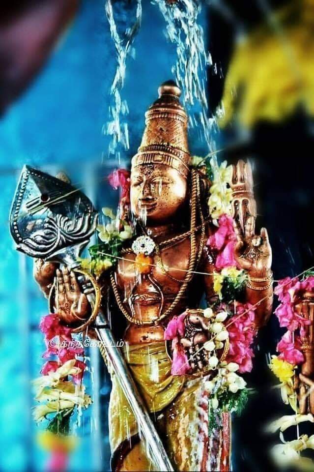 Murugan Temple, Palani: A Sacred Arupadaiveedu