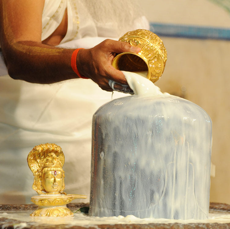 Maha Shivaratri 2025 Poojas